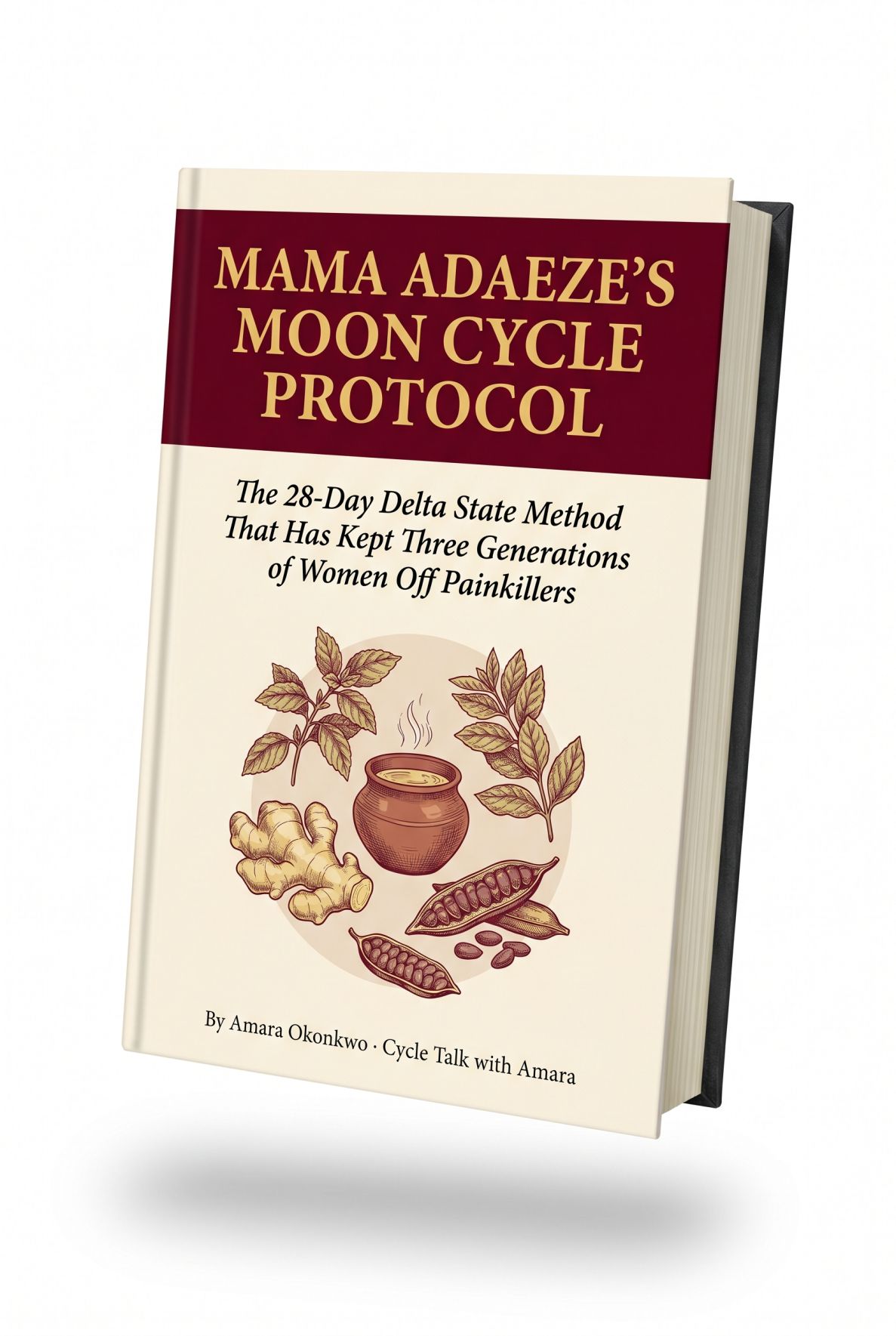 Mama Adaeze's Moon Cycle Protocol PDF cover mockup